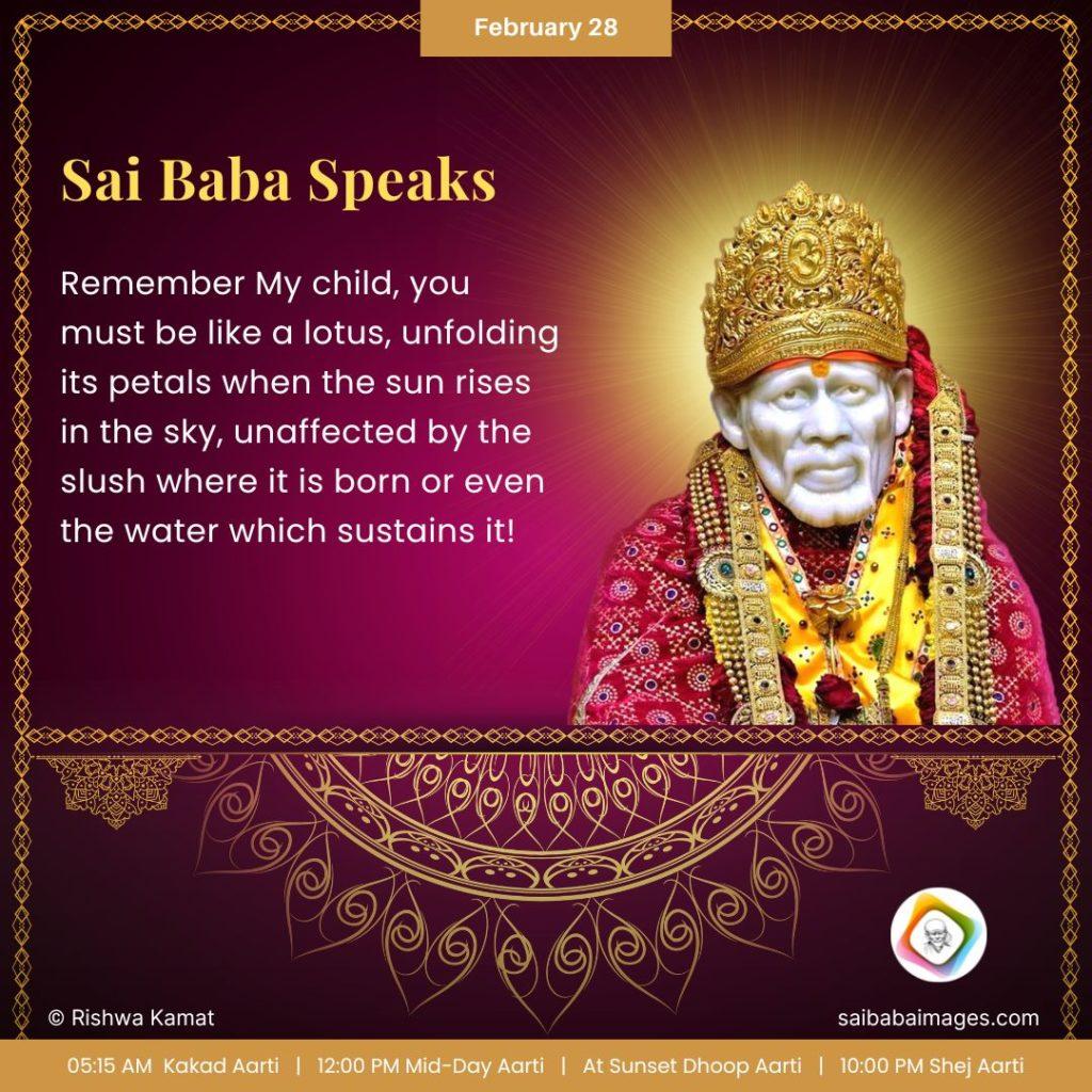 Ask Sai Baba - Sai Baba Answers - "Remember My child, you must be like a lotus, unfolding its petals when the sun rises in the sky, unaffected by the slush where it is born or even the water which sustains it".